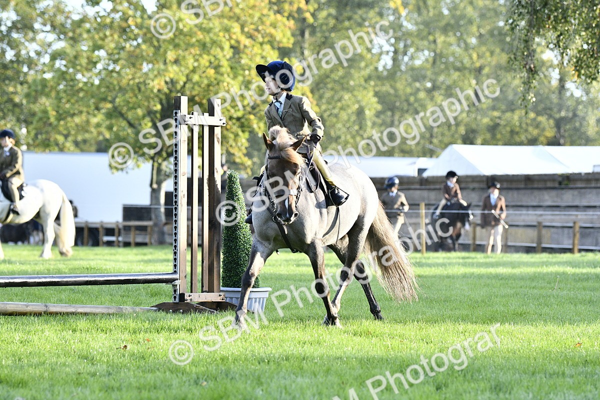 SBM_35388 - S30 - Nursery Stakes Working Hunter Pony