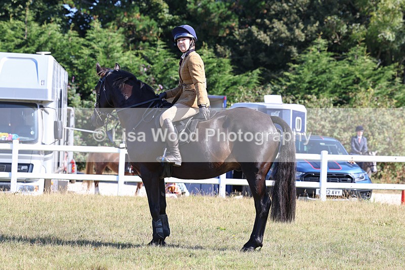 3E7A5500 - Class 3: Working Hunter 70cm