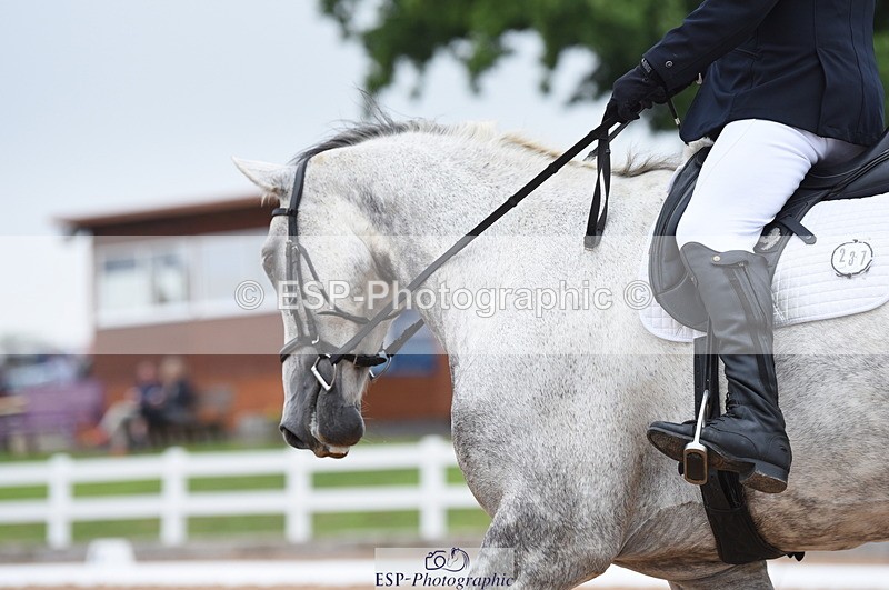 230708A-114424-01655 - Prelim 7