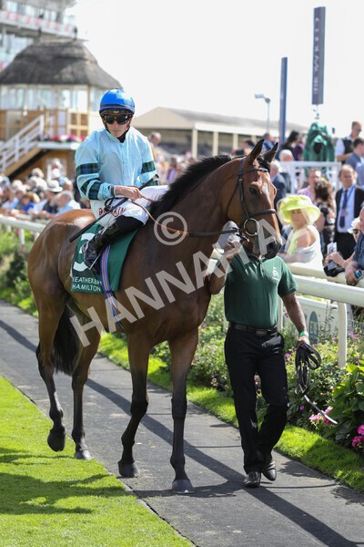 yr19082022r2-23 - Race 2 2.25pm Weatherbys Hamilton Lonsdale Cup (British Champions Series Race)