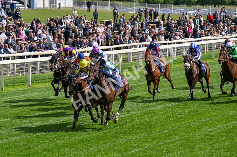 120626-Race 5-Antipodes-0285 - Race 5 16.10pm Sky Bet The World's Gone Football Handicap