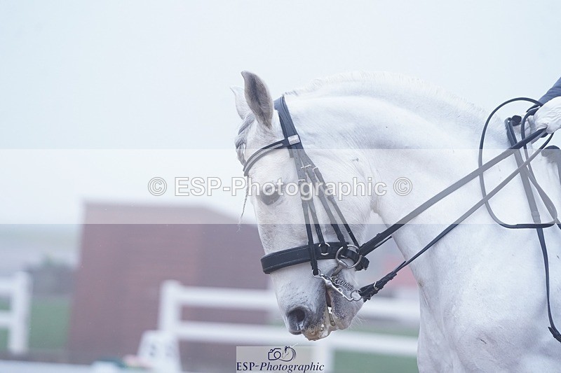 250215-105744-03391 - 102-PAULA.LEE-Deseado.Santo