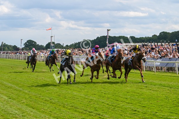 310525-Race 6-Dantes Lad-0073 - Race 6 4.25pm Royal Yorkshire Regiment Handicap