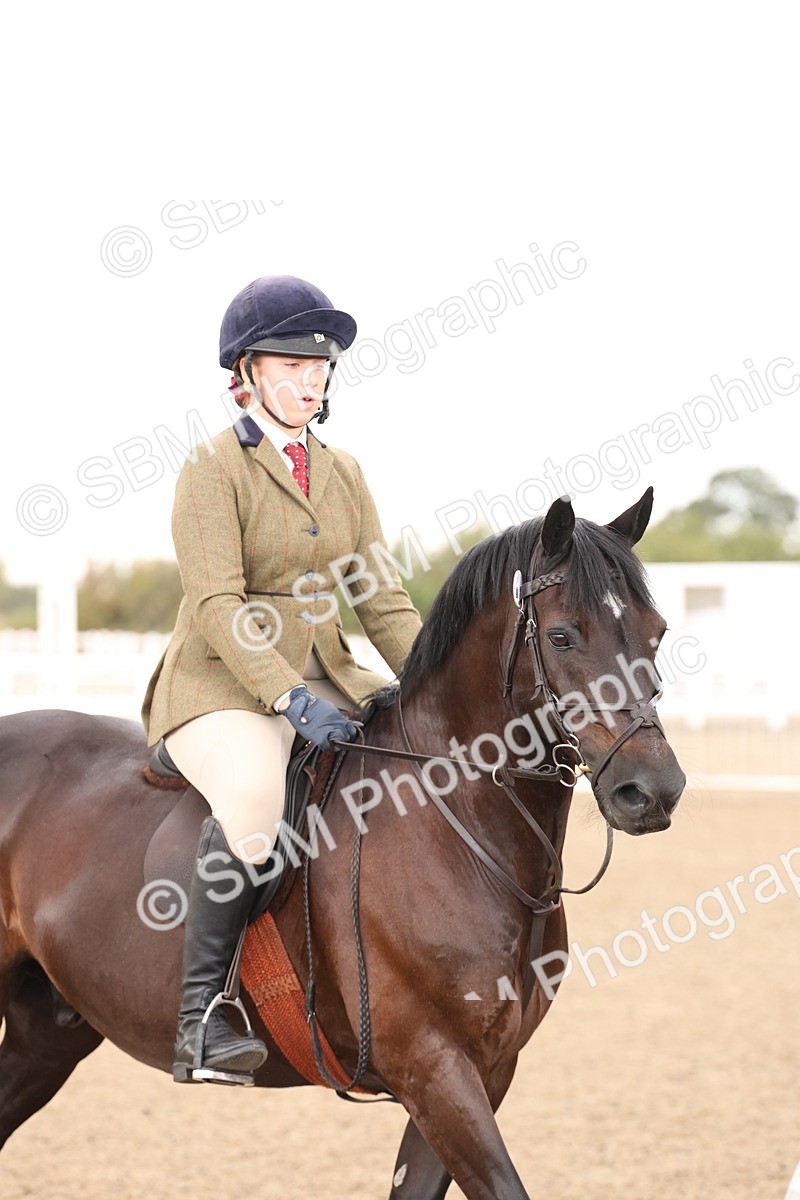 SBM_07537 - Class 59b -  Style & Performance - 80cm (20+)