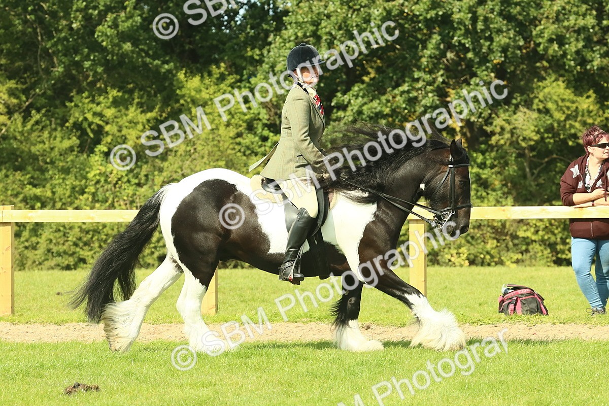 SBM_67463 - S56 - Coloured Pony Ridden