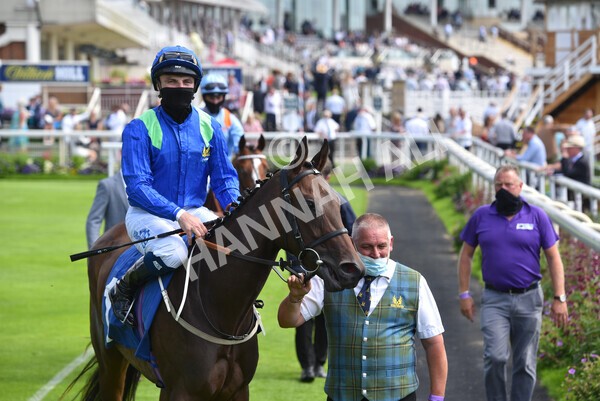 yr09072021r3-14 - Race 3 3.15pm William Hill Pick Your Places Irish EBF Novice Stakes