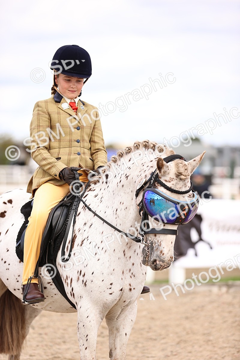 SBM_16149 - Class 420 - Horse-Pony Judge would most like to take home (IH or Ridden) Jnr