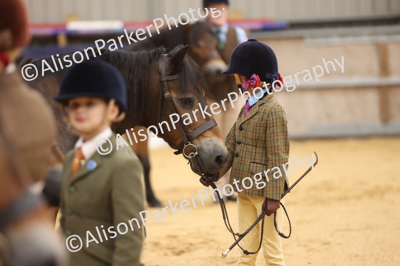20260913-0118 - Class 121 - Young Handler 5-16
