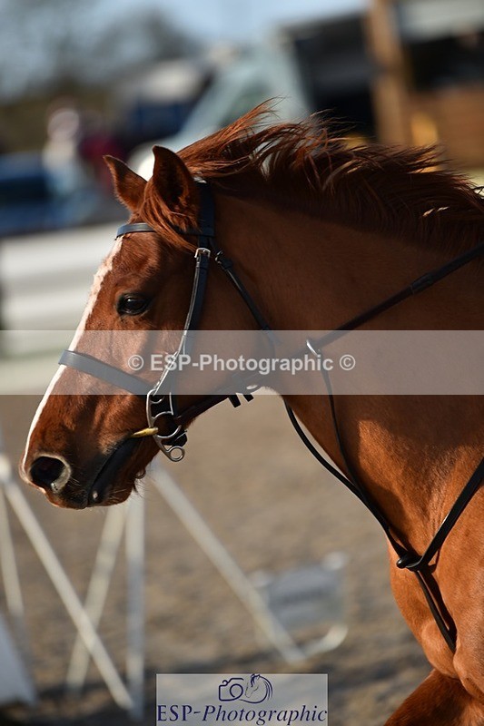 231210-123526-00551 - Cls 4 60cm