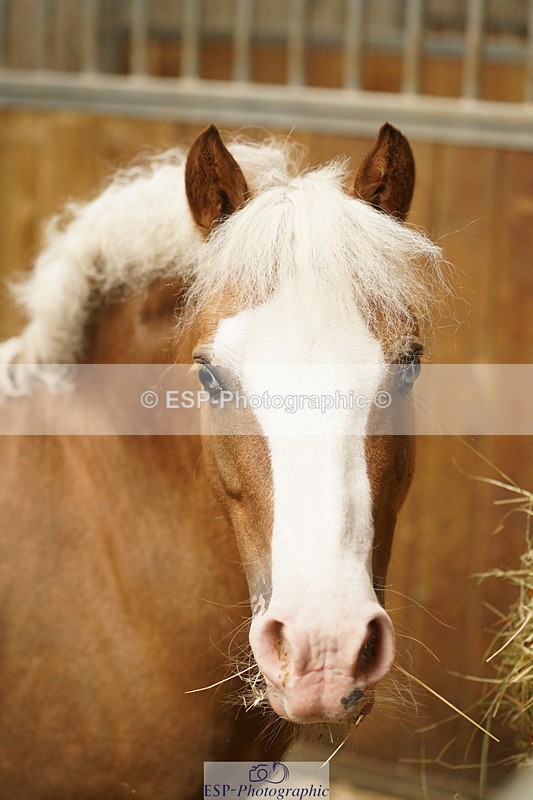 240809A-134748-01028 - Stable Shots