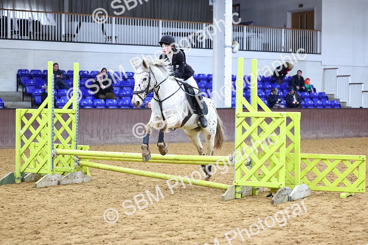 SBM_001311 - Class 3 - Christmas Tree Stakes - 60cm