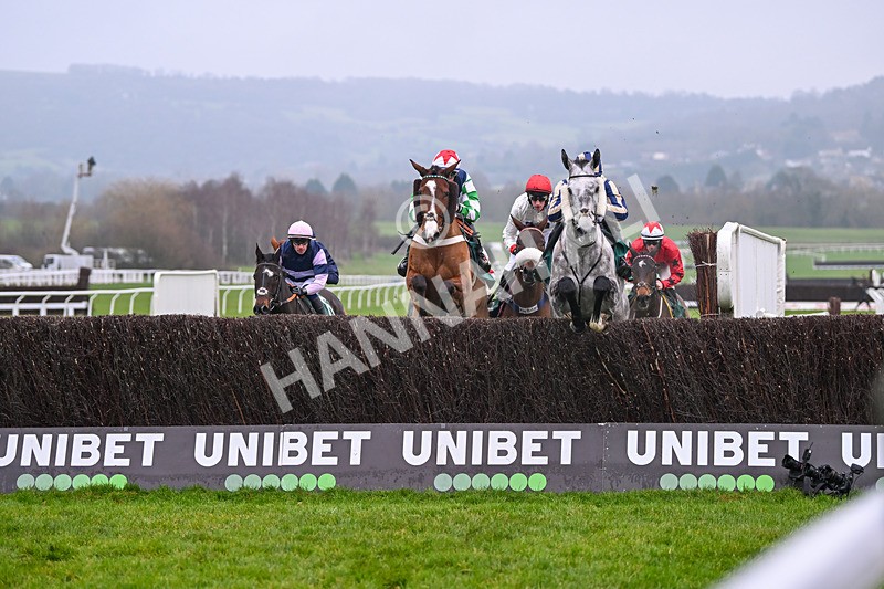 131224-Race 4-King Turgeon-9095 - Race 4