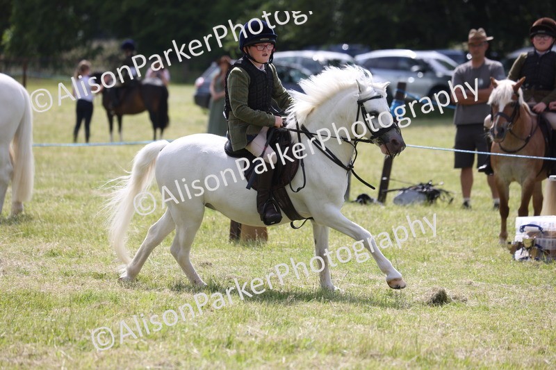 20260614-0728 - Class 20 - Beginners Working Hunter Pony