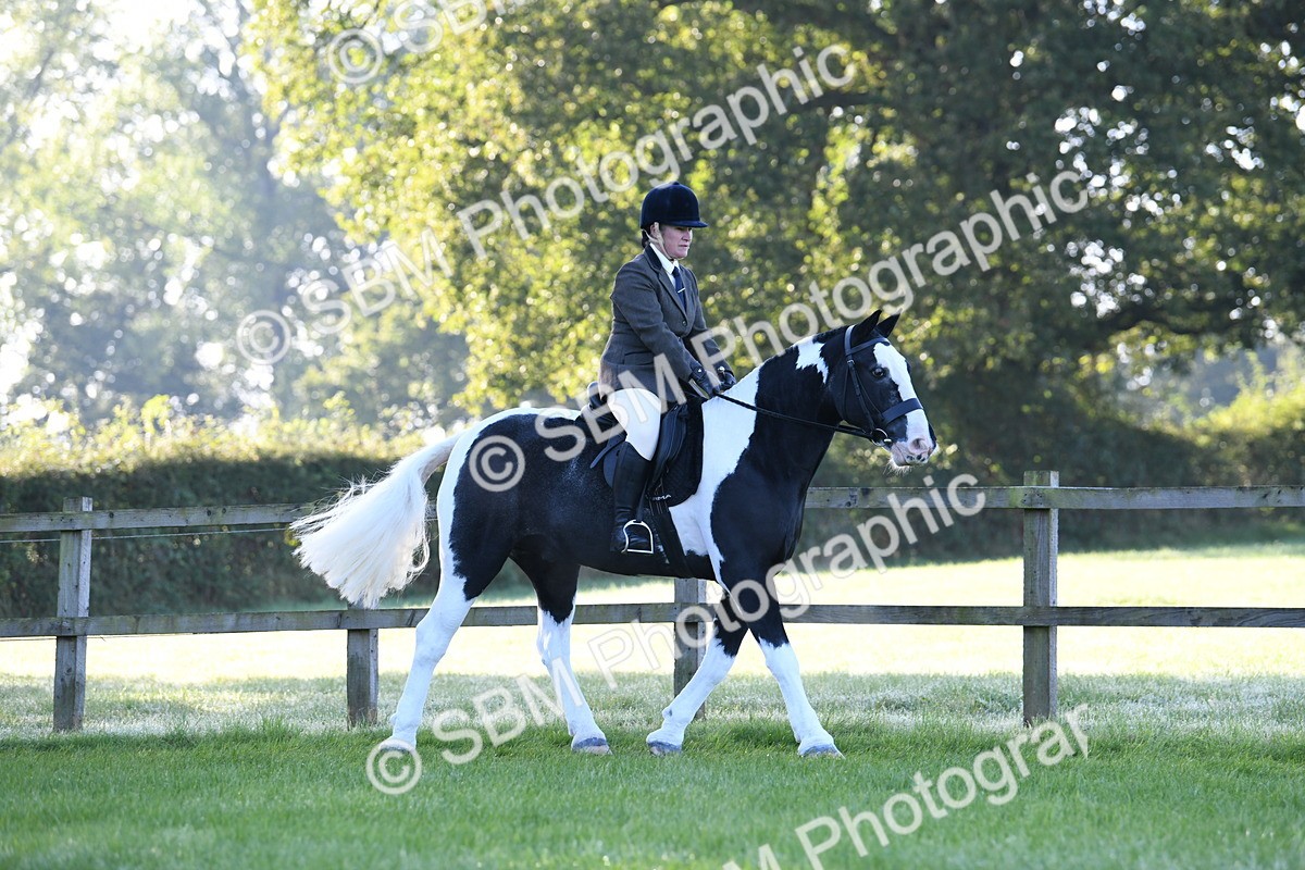 SBM_33966 - S16 - Condition & Turnout - Ridden