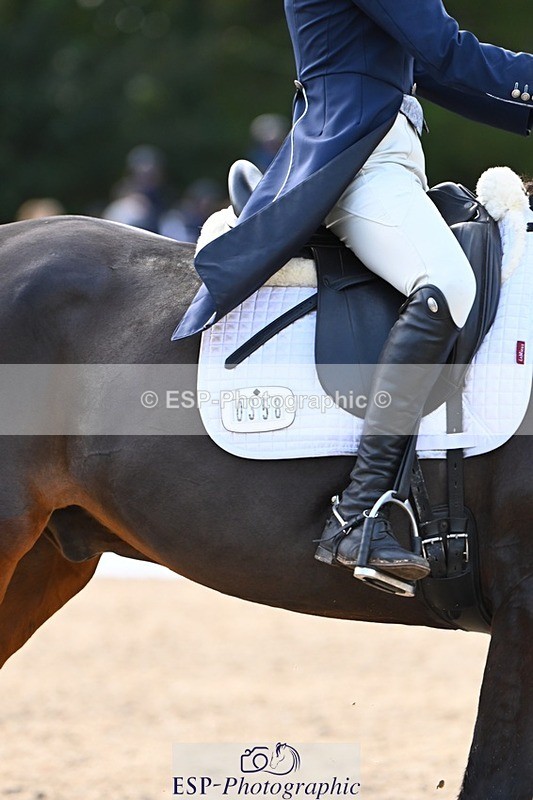 231021-143343-17869 - 358-ROYALE.MESSENGER-Anna.Singer-DR