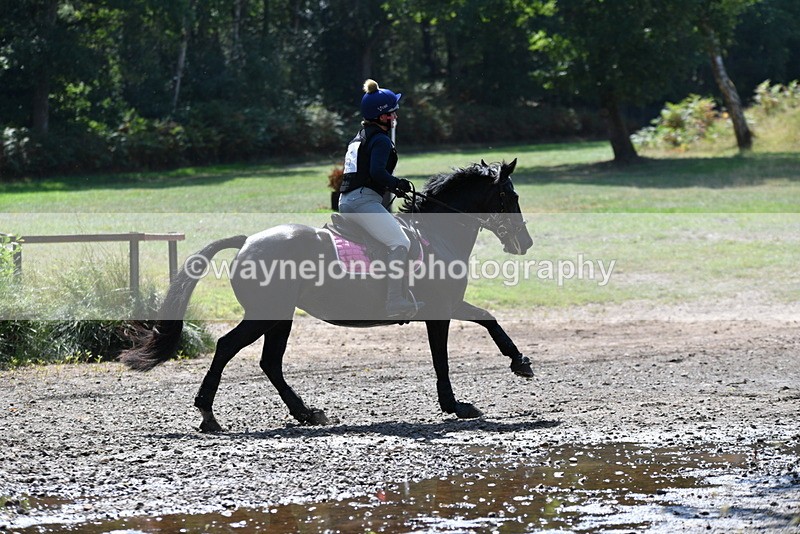 WJ5_3301 - XC Time 13:30 to 14:00