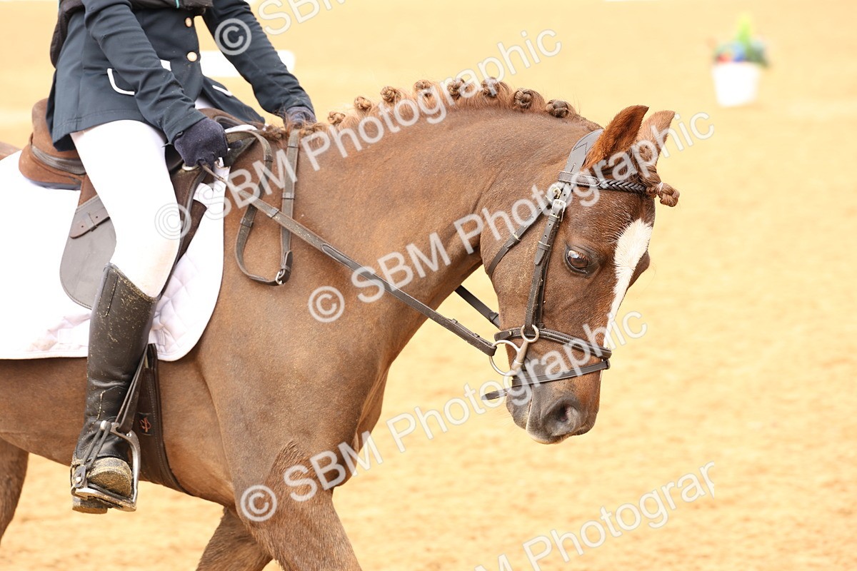 SBM_44180 - D6 - Small Tour Championship Intro 4