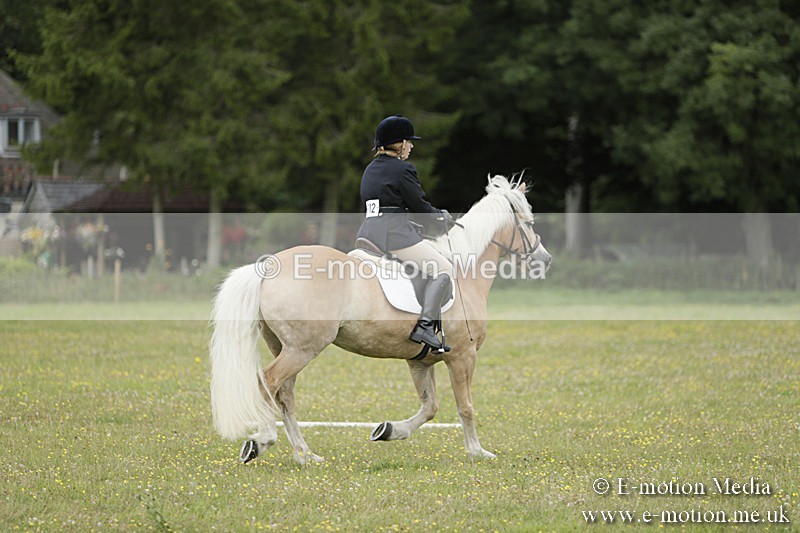 BVR160717-1165 - Class 2 Dressage 16/07/17