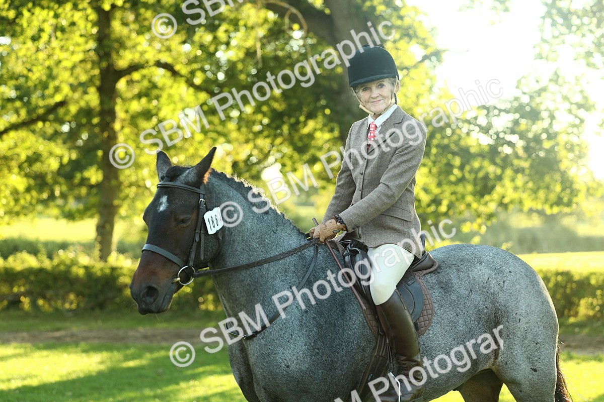 SBM_55637 - S14 - Riding Club Horse