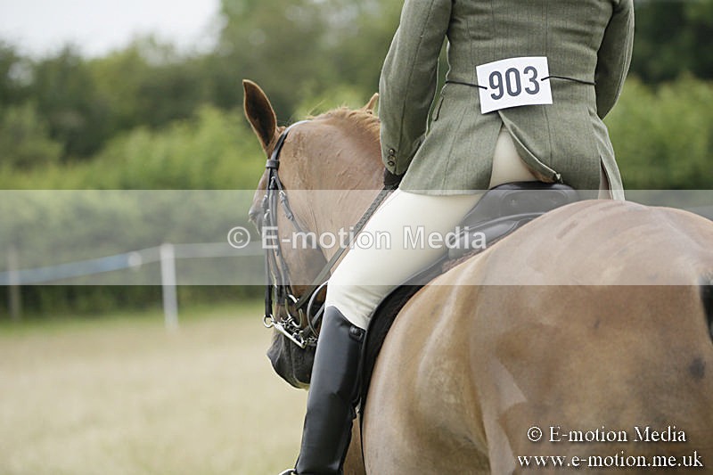 B230619-0714 - Bourne Valley Riding Club Summer Show 23/06/19