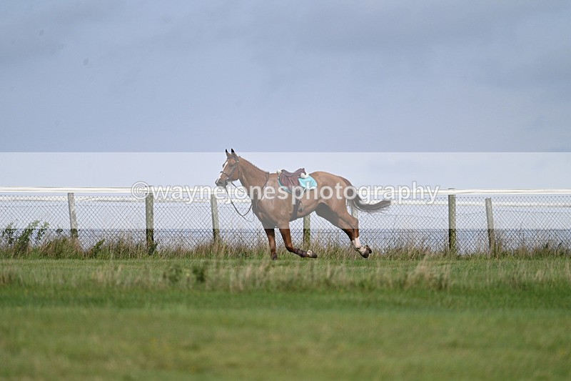 WJ7_7521 - Time 13:21 to 13:29