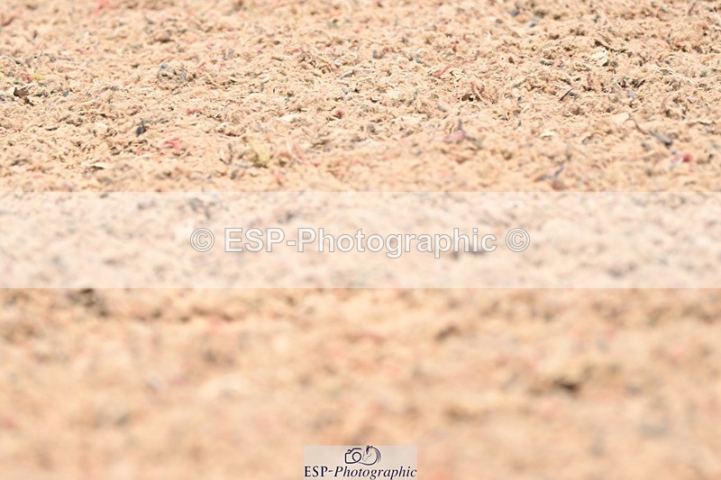 250620-135723-04108 - BD Cls 8 - Elementary 6