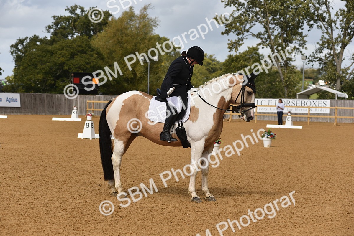 SBM_07767 - D15 - Small Tour Championship Novice 1