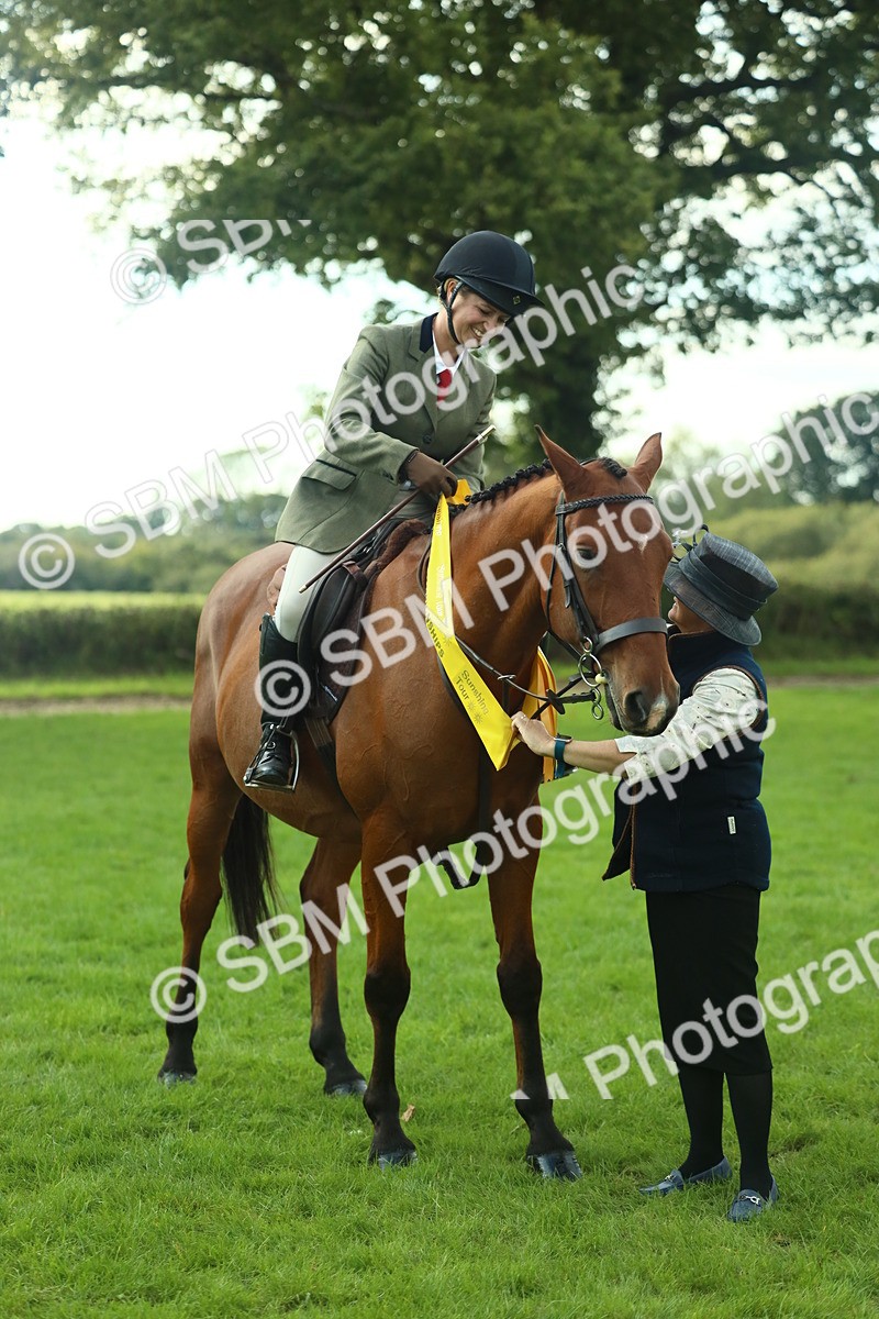 SBM_52209 - S33 - Working Hunter & Working Show Horse