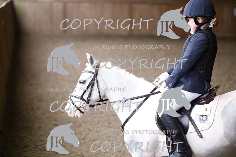 _R6A1356 - Class 1 walk trot 2022