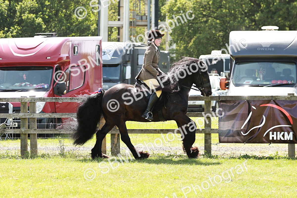 SBM_07055 - Class 26-30 - Mountain and Moorland Ridden