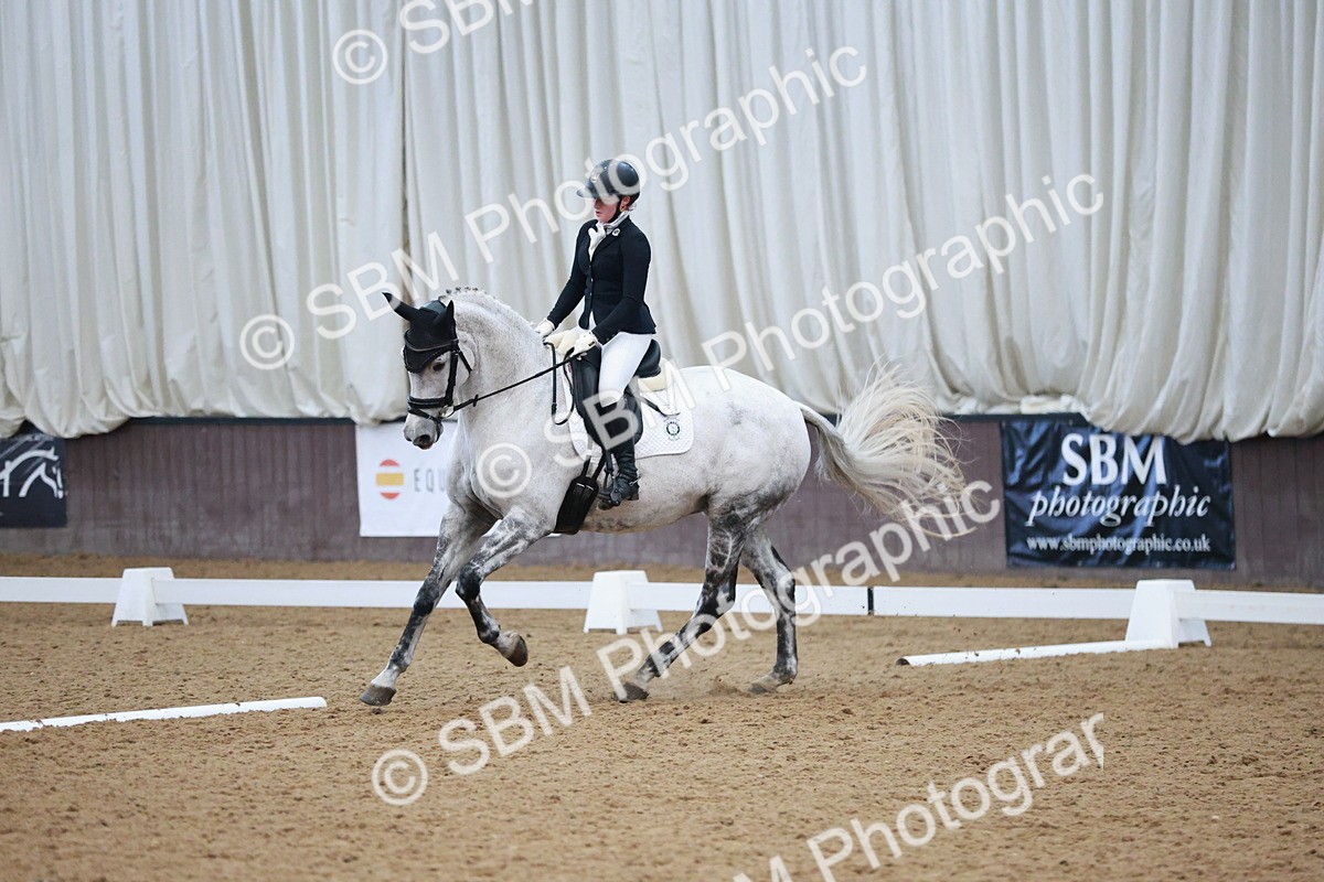 SBM_004533 - Ring 3 - International -  Working Hunter Classes 23-2-25