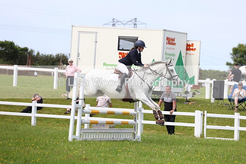 3E7A1540 - Class 13: Senior British Novice/90cm open