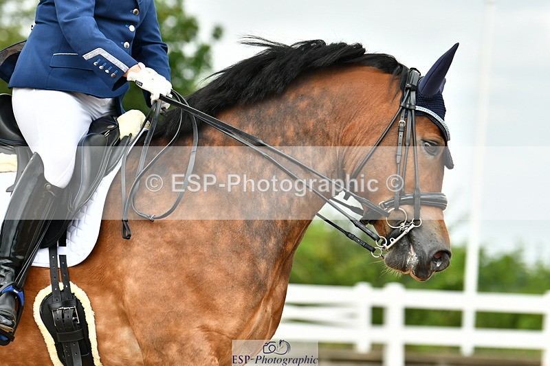 230701A-120939-06012 - Cls 8 Elementary 57