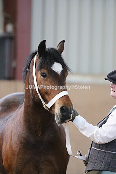 SIAL9511 - Indoor Classes