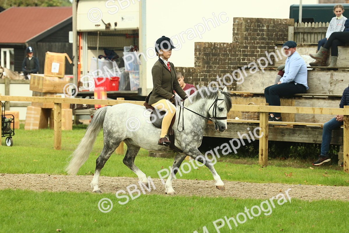SBM_69852 - S59 - Mountain & Moorland Ridden Small Breeds