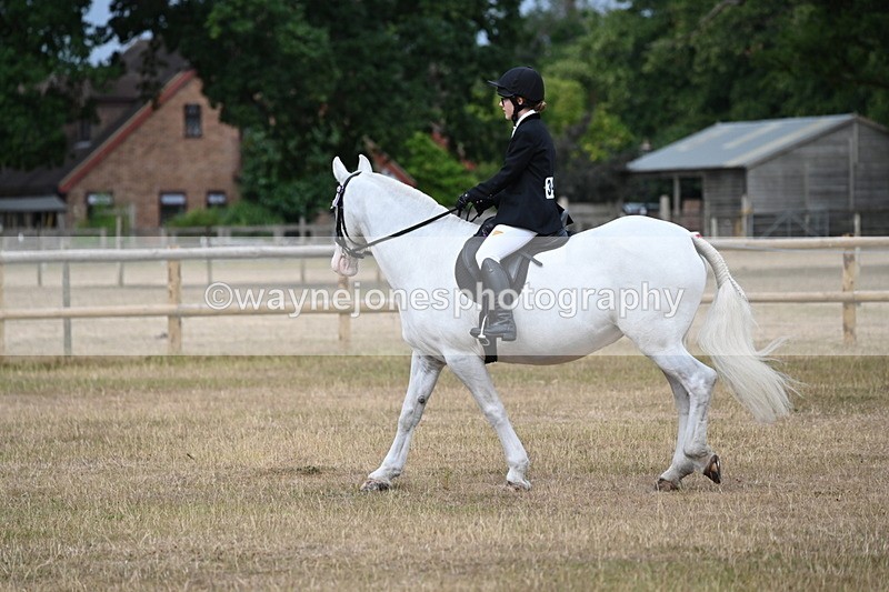 WJ6_7379 - Class 9 Tack and Turnout