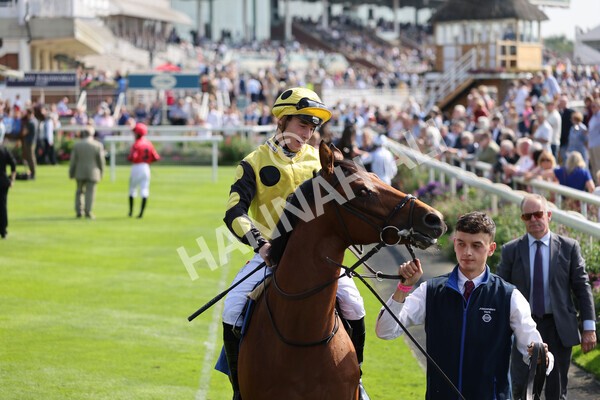 yr05092021r1-2 - Race 1 2.10pm IRE-Incentive It Pays To Buy Irish ebfstallions.com Novice Stakes