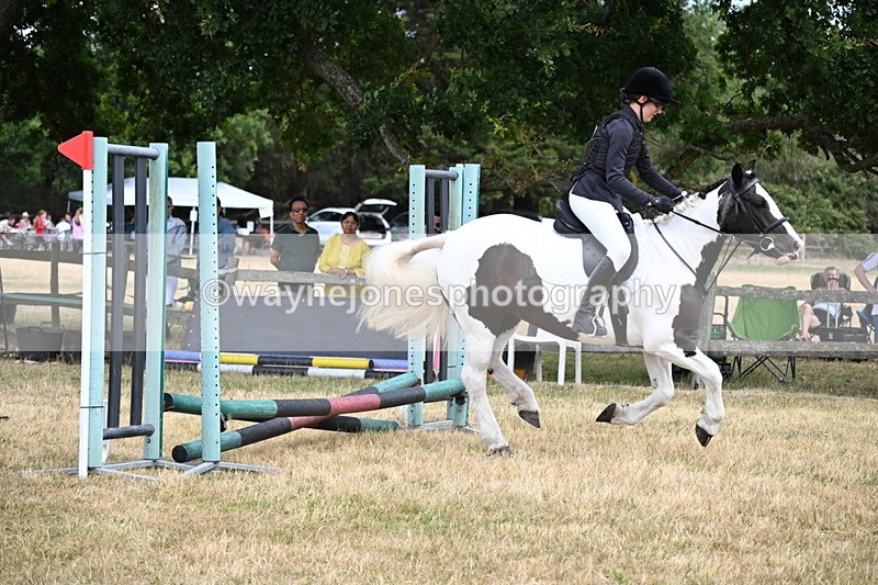 WJ6_5310 - Class 12 Minimus Jumping 45cm