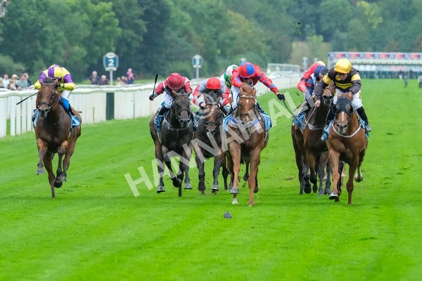 080925-Race 2-Alzahir-7812 - Race 2 3.00pm Sky Bet Super Sub Sprint Handicap