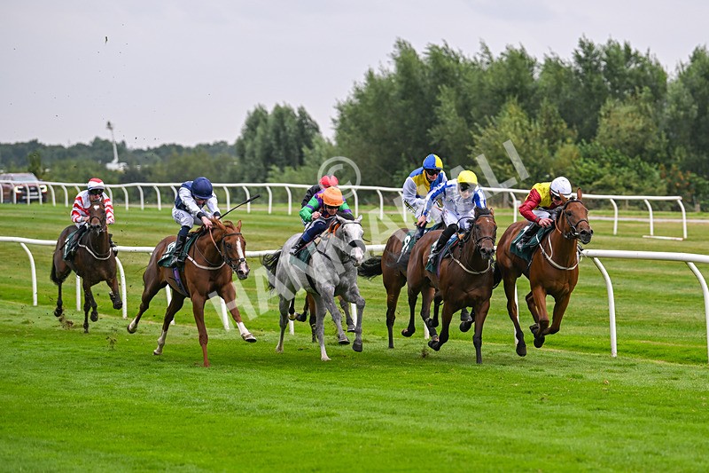 190824-Race 2-The Feminine Urge-3380 - Race 2