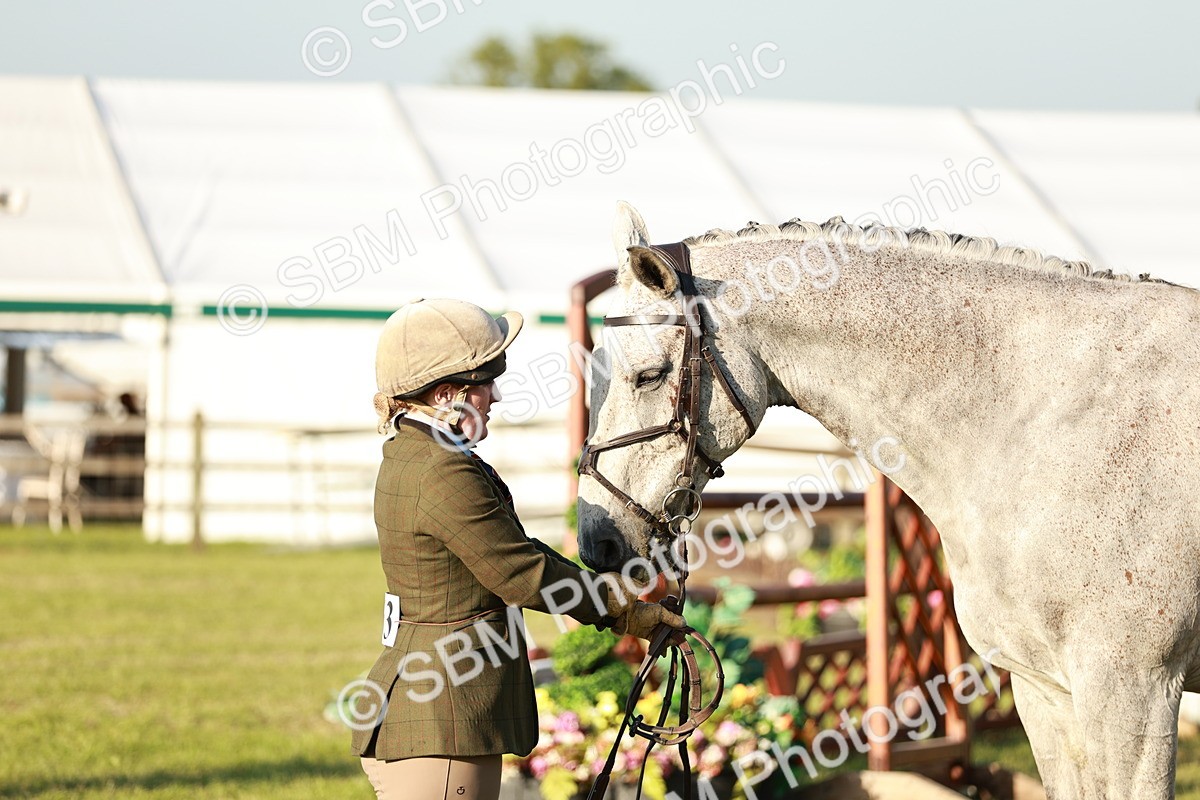 SBM_20554 - Class 117-119 - Sport Horse Working Hunter
