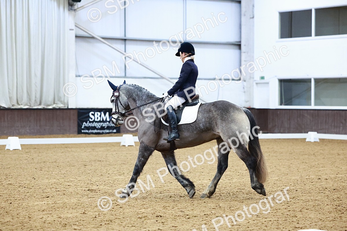 SBM_002690 - Novice Music