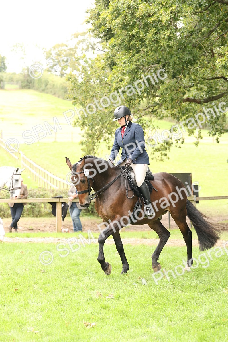 SBM_66322 - S66 - Hunter Ridden