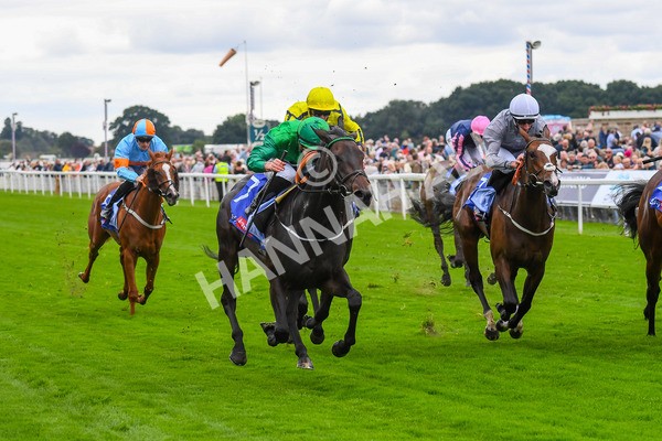 240823-Race 1-Relief Rally-0074 - Race 1 1.50pm Sky Bet Lowther Stakes