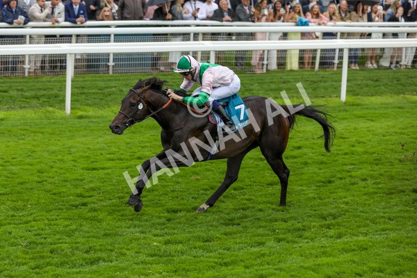 130724-Race 2-Starlust-1985 - Race 2 2.35pm John Smith's City Walls Stakes