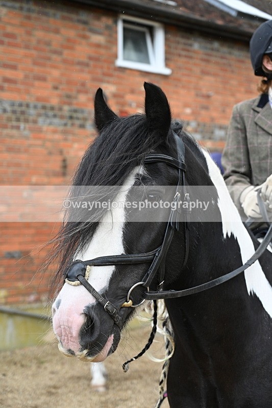 WJ7_6891 - Berks & Bucks at Blandy’s Farm 31-08-25