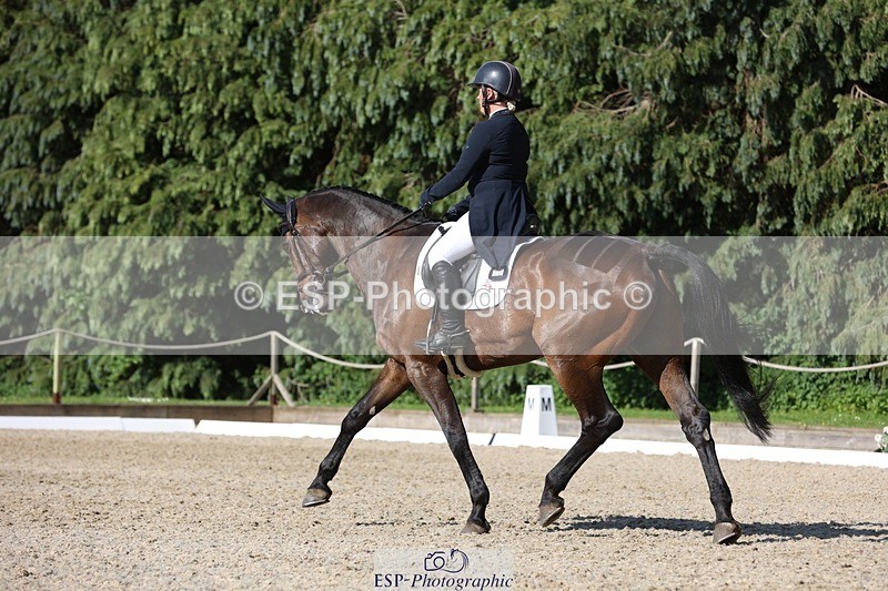 230526-172452-07974 - 178-RIDIRE_DORCHA-Lucy_Stimson-WEDTrotUp+DR