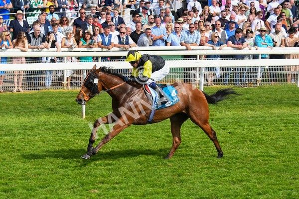 270523-Race 5-Starnberg-0780 - Race 5 3.50pm William Hill Extra Place Races Daily Handicap