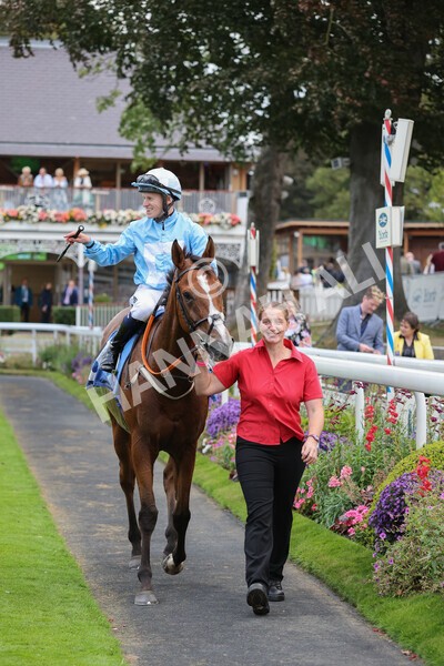 yr24092021r8-31 - Race 8 5.25pm William Hill Build Your Own Odds Apprentice Stakes