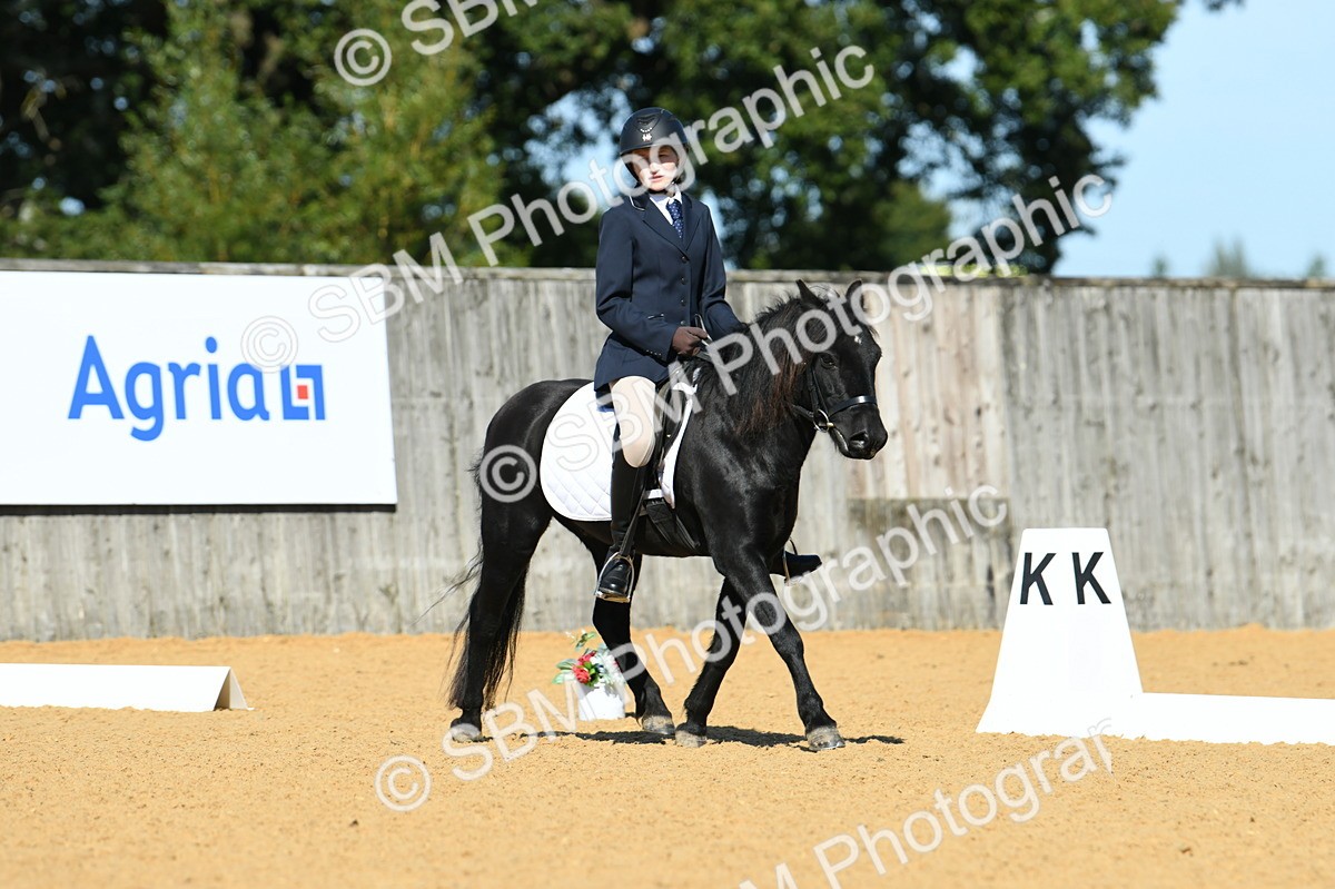 SBM_18191 - D4 - Small Tour Championship - Intro B